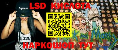спайс Гусев