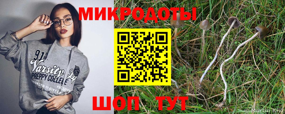 Будённовск  Псилоцибиновые грибы ЛСД  Вход с VPN  Галлюциногенные грибы прущие грибы 